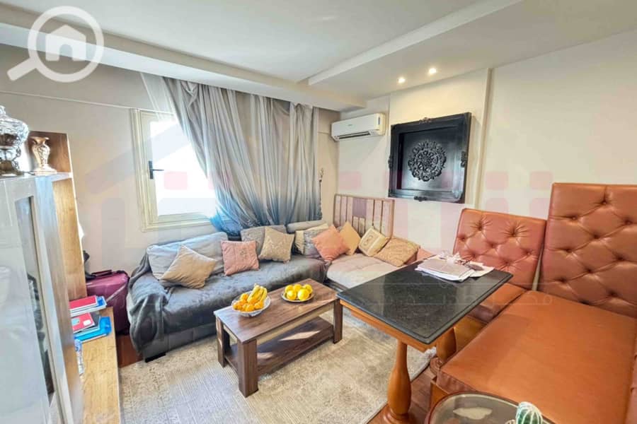 4 WhatsApp Image 2025-12-29 at 15.55. 48 (2). jpg