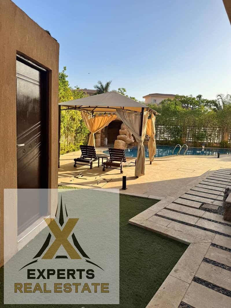 2 ae7e57ca-7a67-4e60-b88c-8a56081a256f. jpg