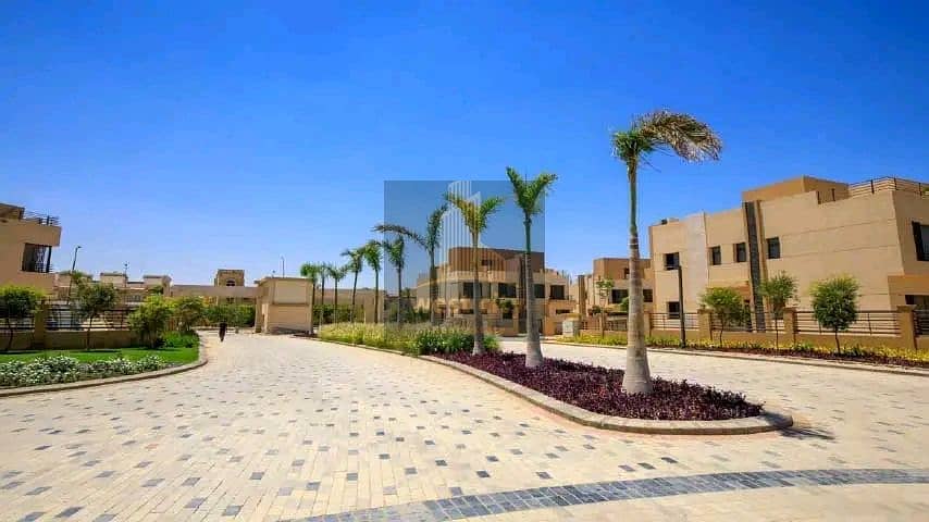 10 1767526152325. jpg