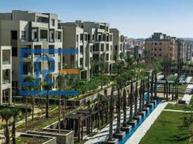 11 WhatsApp Image 2025-07-28 at 11.41. 29_ca77ac54. jpg