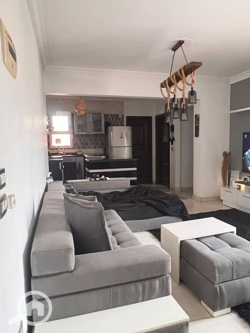 5 WhatsApp Image 2026-01-04 at 12.48. 55 (2). jpeg