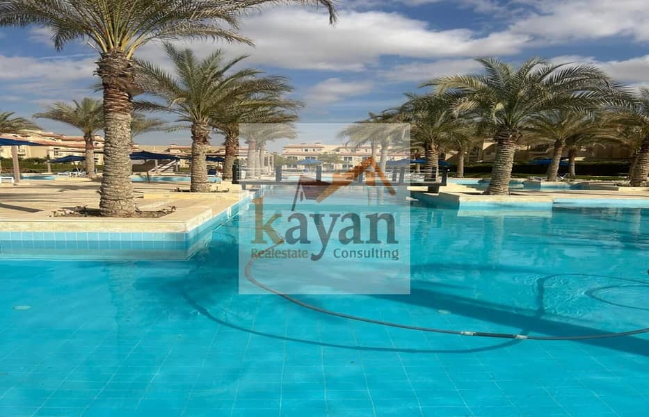 19 cd969e9d-8c04-4f89-9c3a-f37fc6e24612. jpg