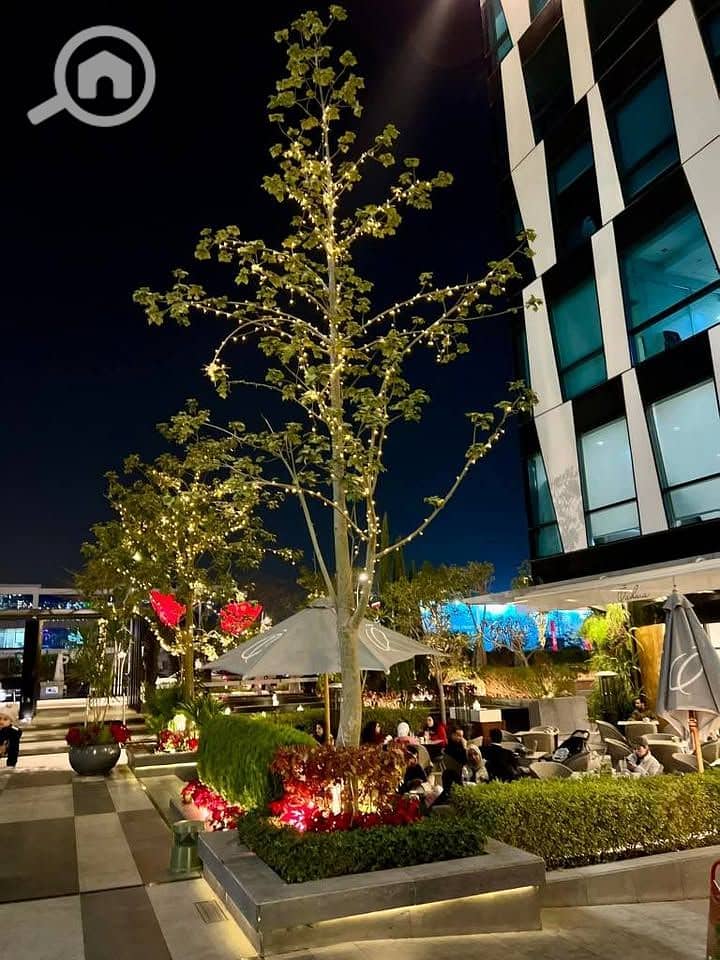 9 597821926_10164442112314155_4912939410907317586_n. jpg