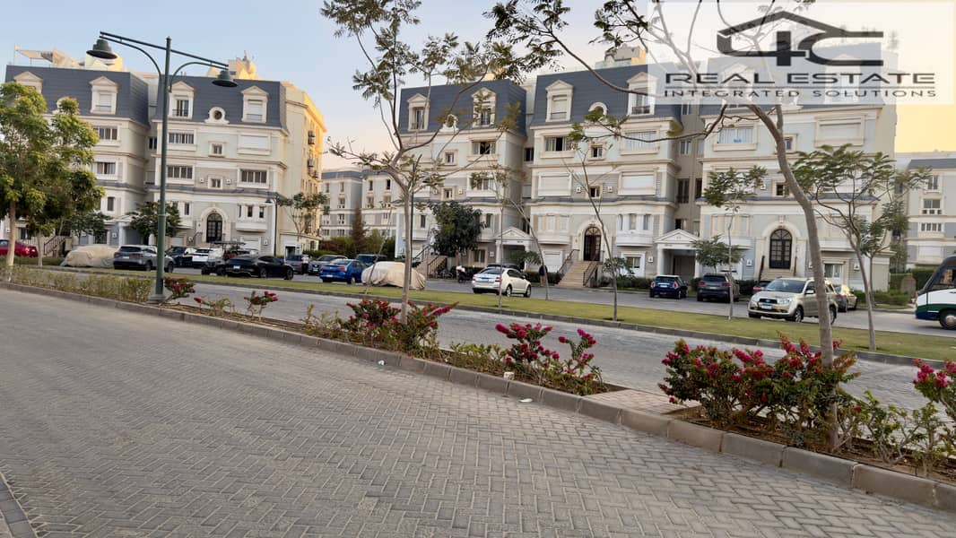 6 2025_12_09_16_17_IMG_0245. JPG