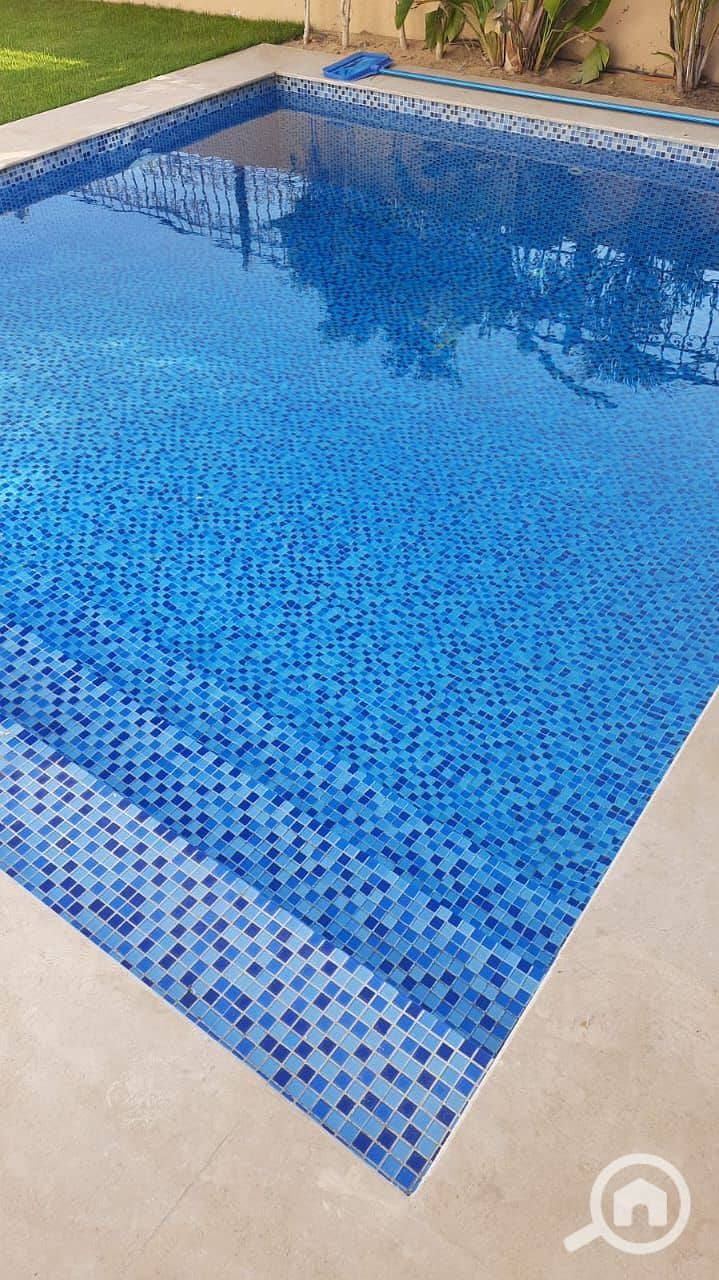 11 608194af-4462-4e1f-ae06-fbd482df905b. jpeg