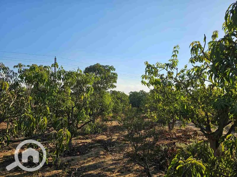 IMG-20241214-WA0011. jpg IMG-20241214-WA0011. jpg