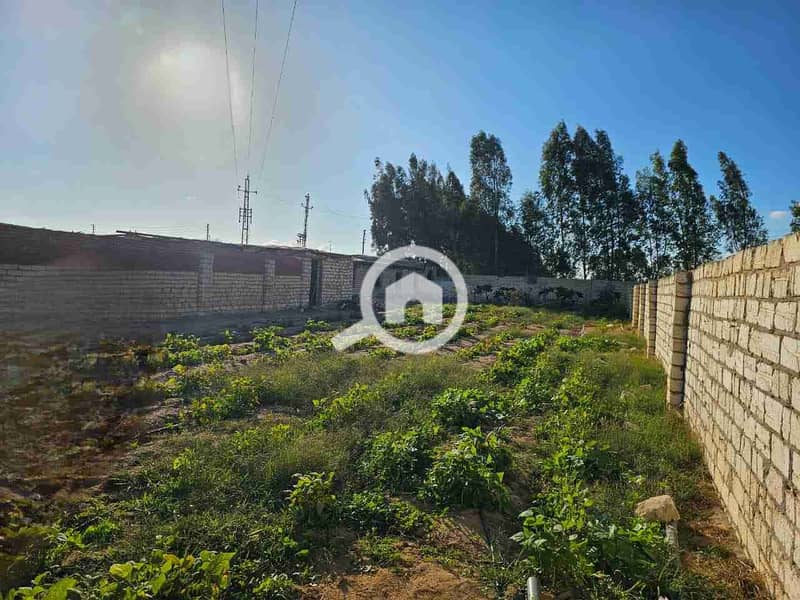 2 IMG-20241116-WA0048. jpg