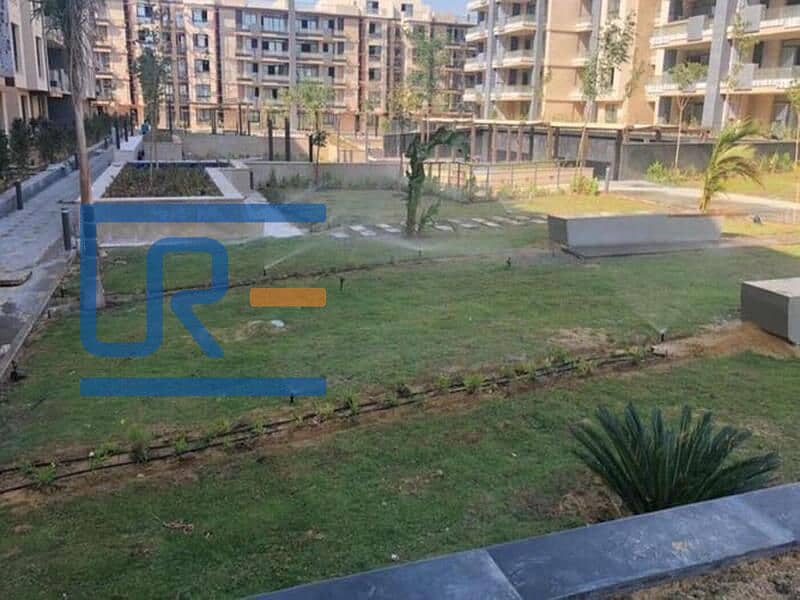 10 3140091-eed85o. jpg