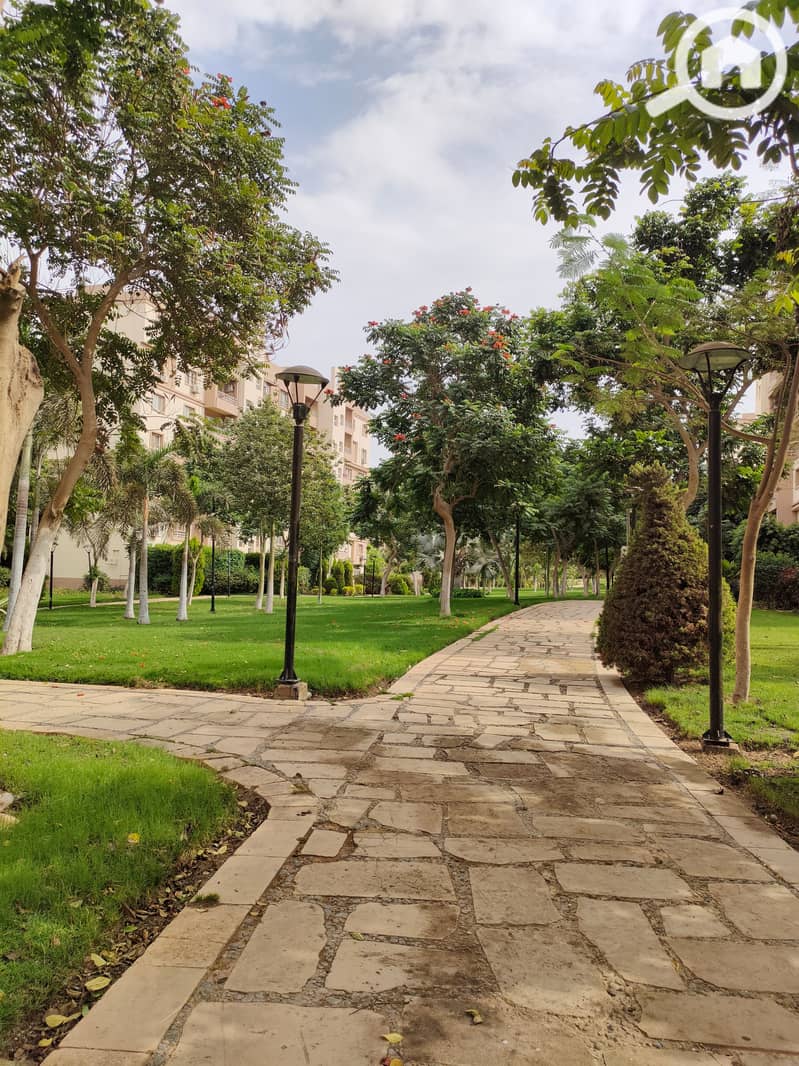 2 IMG20251102122538. jpg