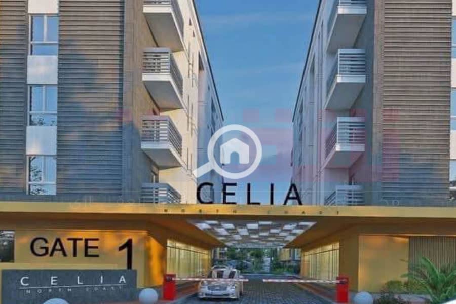 9 WhatsApp Image 2025-08-29 at 2.50. 52 AM (2). jpg