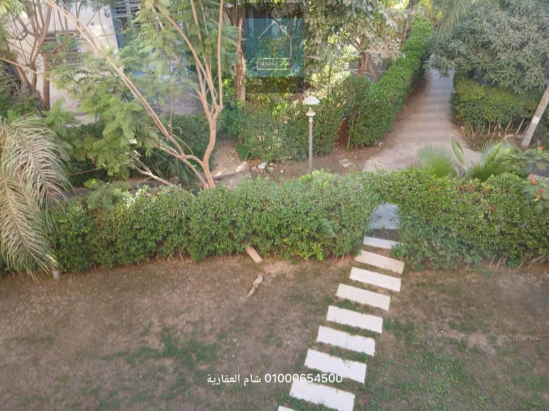 17 ٢٠٢٥٠٩٠٢_١٧٥٢٠٩. jpg