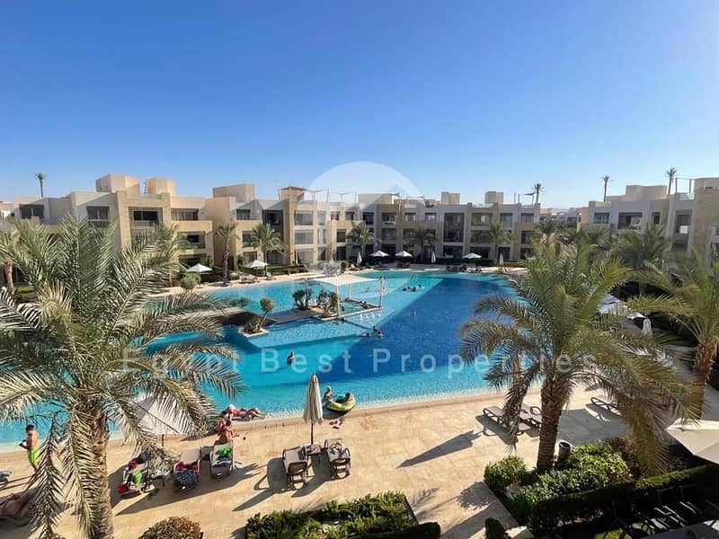 5 555 - Copy - Copy. jpg