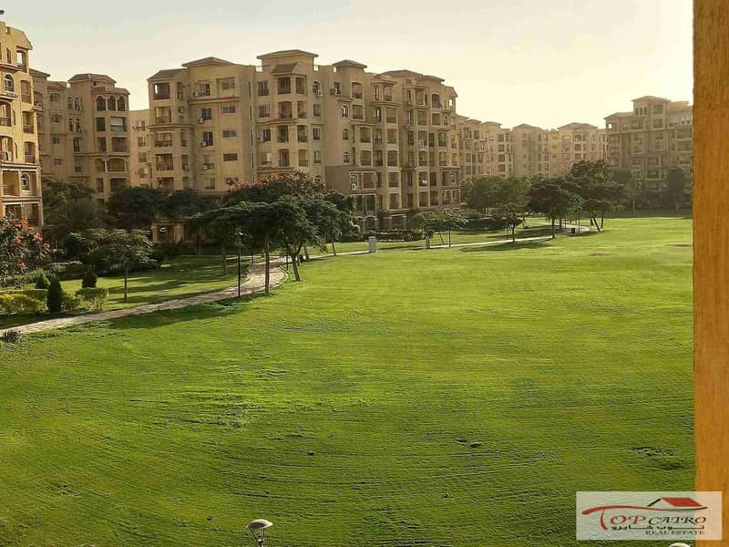 1000839852. jpg 1000839852. jpg