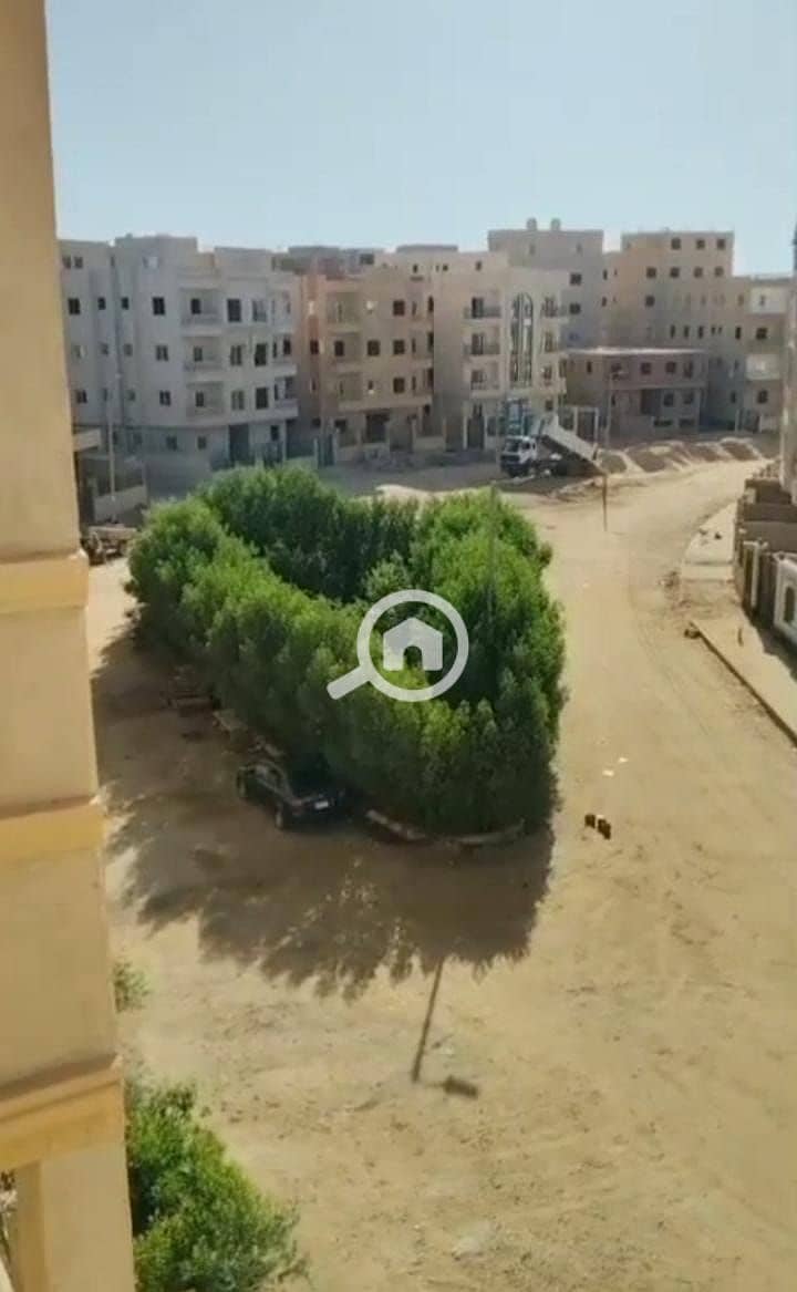 2 a5f7d54e-492c-4df5-b00a-059f7f3c7cf5. jpg