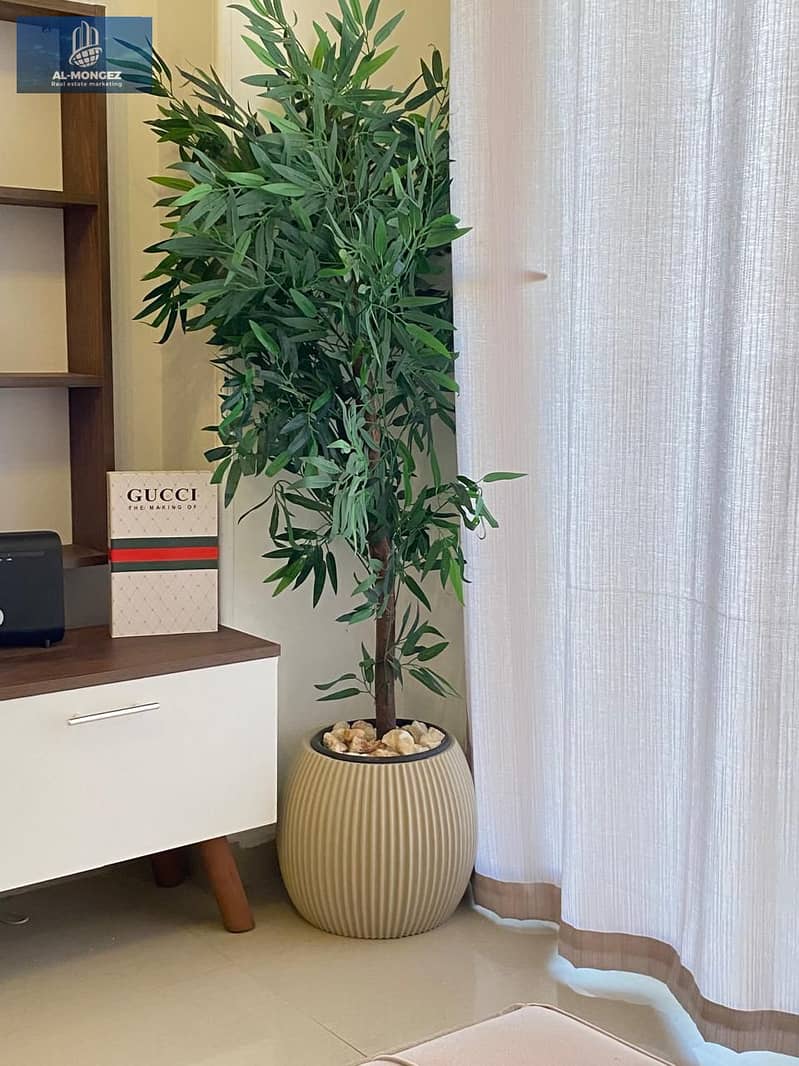 4 WhatsApp Image 2026-01-04 at 3.11. 22 PM. jpeg