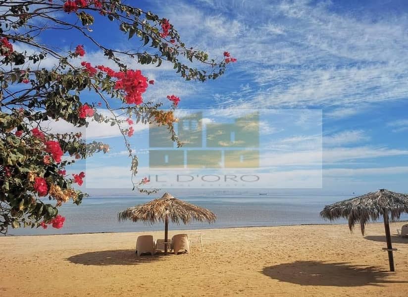 3 WhatsApp Image 2026-01-03 at 11.37. 52 PM (1). jpeg