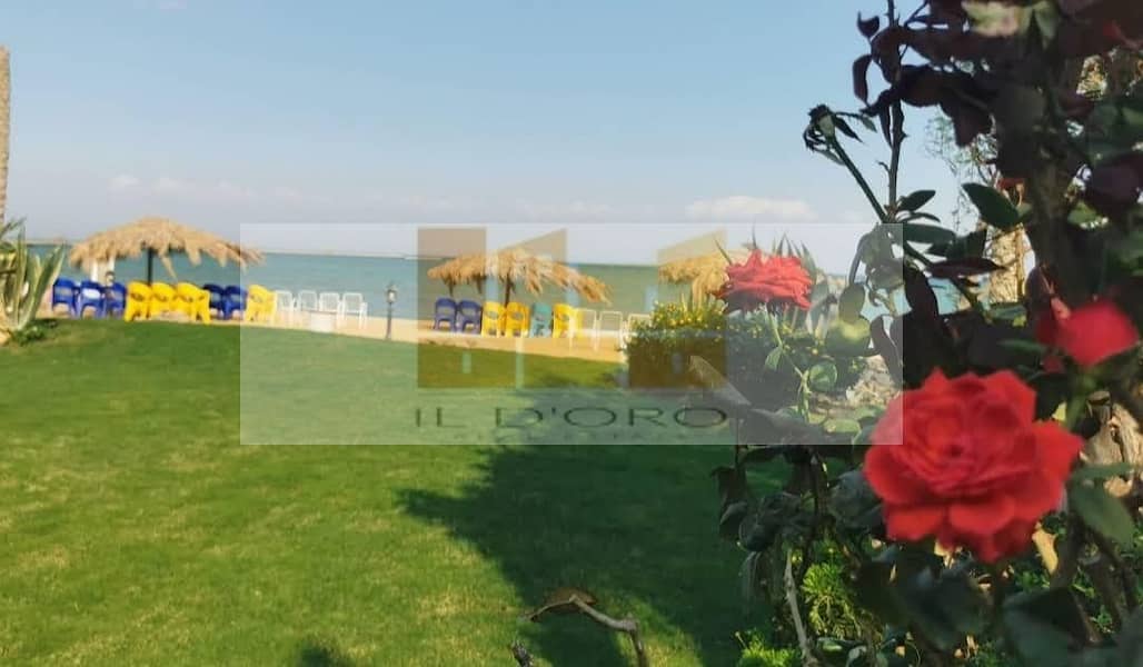 5 WhatsApp Image 2026-01-03 at 11.37. 52 PM (3). jpeg