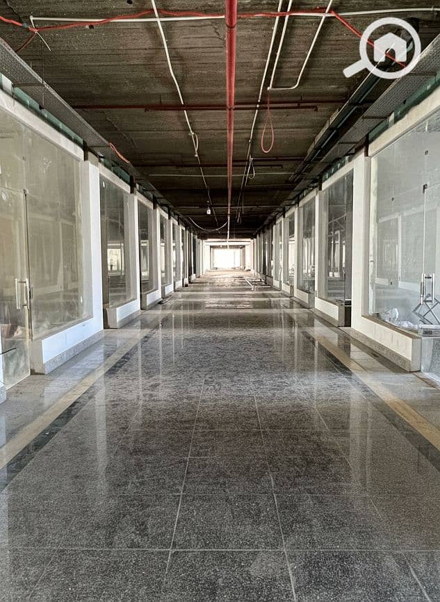 7 Generated Image September 15, 2025 - 2_26PM. png