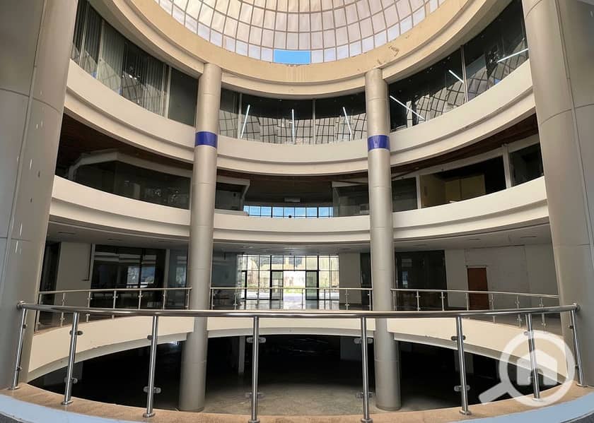 8 Generated Image September 23, 2025 - 2_06PM. png