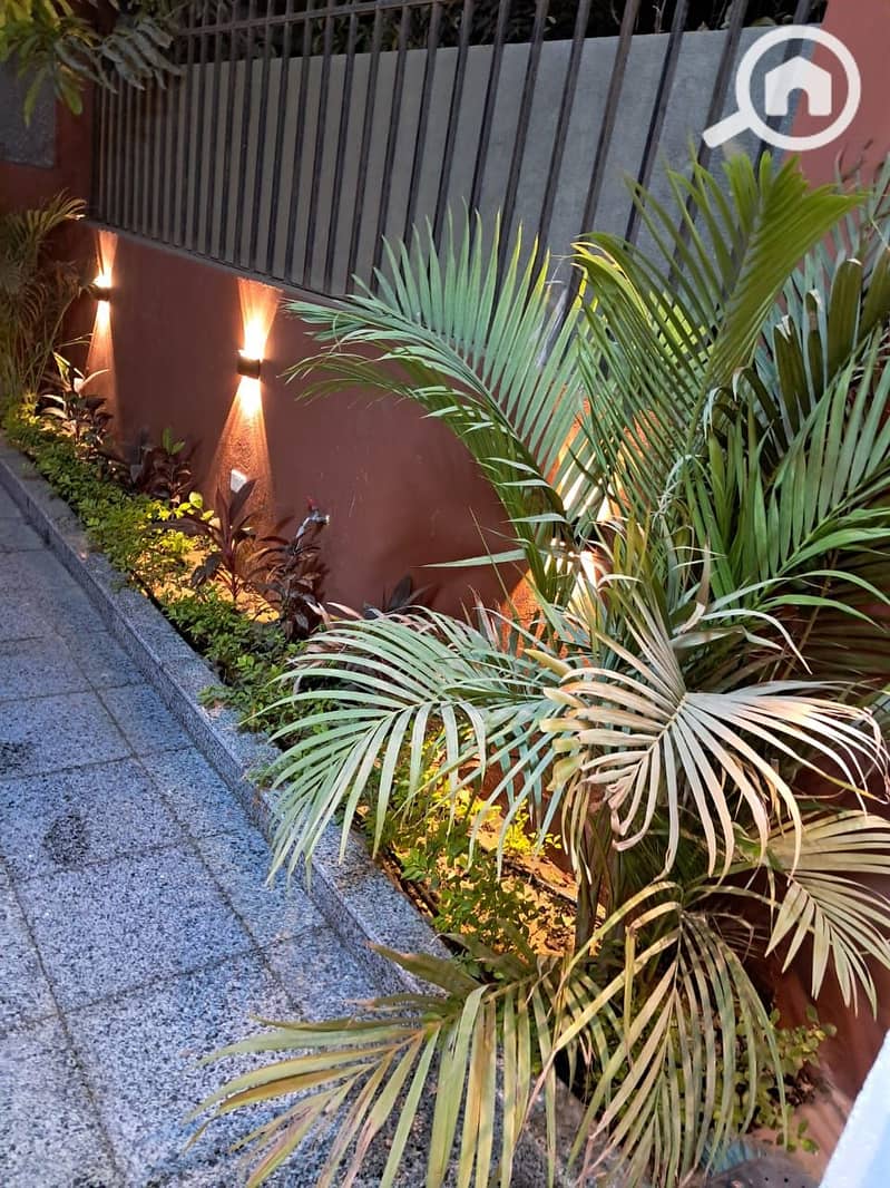 3 ea52ea7e-f1a2-4d24-b4b4-633a90ba1e0f. jpg