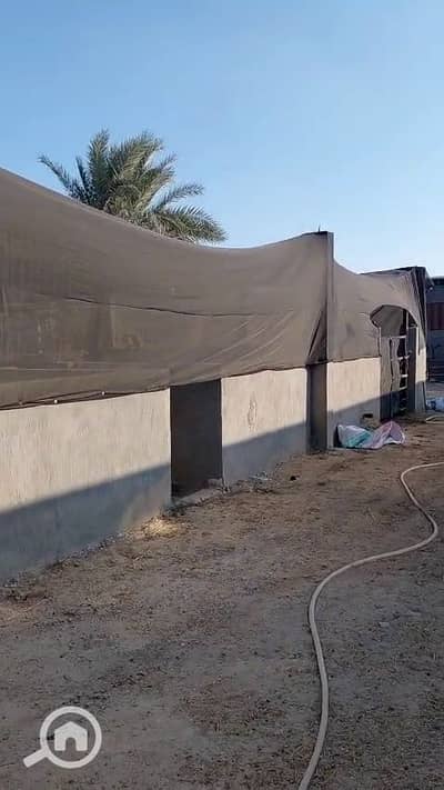 زراعي  للبيع في مدينة الإسماعيلية، الإسماعيلية - ad_frame_01. jpg