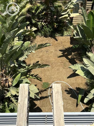 تاون هاوس 3 غرف نوم للايجار في القاهرة الجديدة، القاهرة - WhatsApp Image 2026-01-04 at 2.09. 03 PM. jpeg