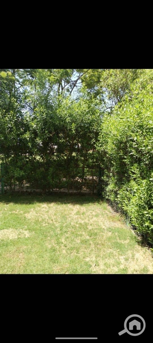 10 6737c6f5-031e-4204-b978-0aa6d7f95b1b. jpeg