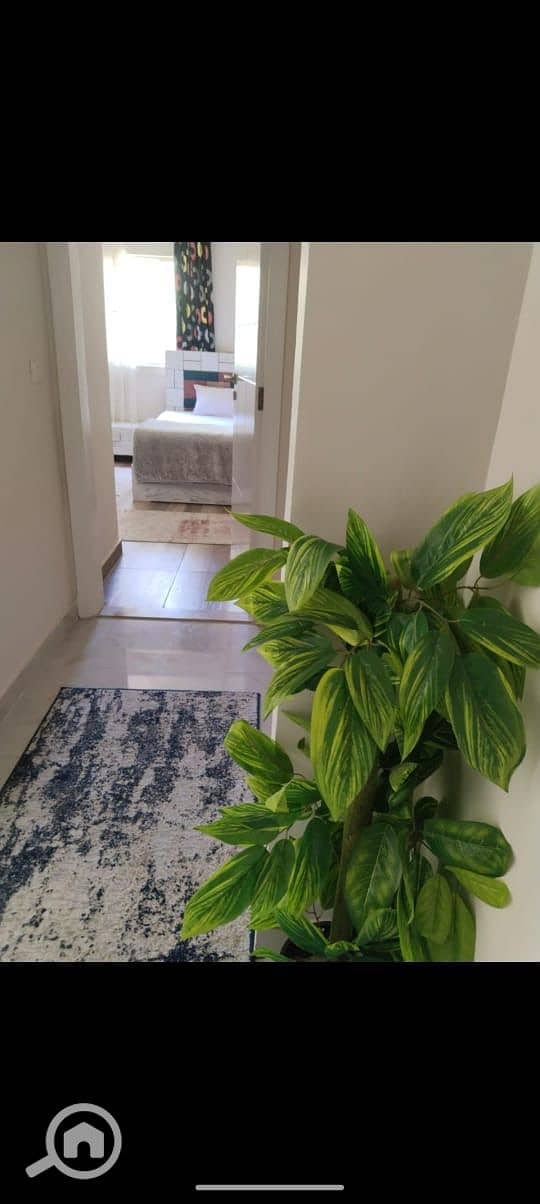 12 602b1114-c90c-4e88-be76-eebb6487d91e. jpeg