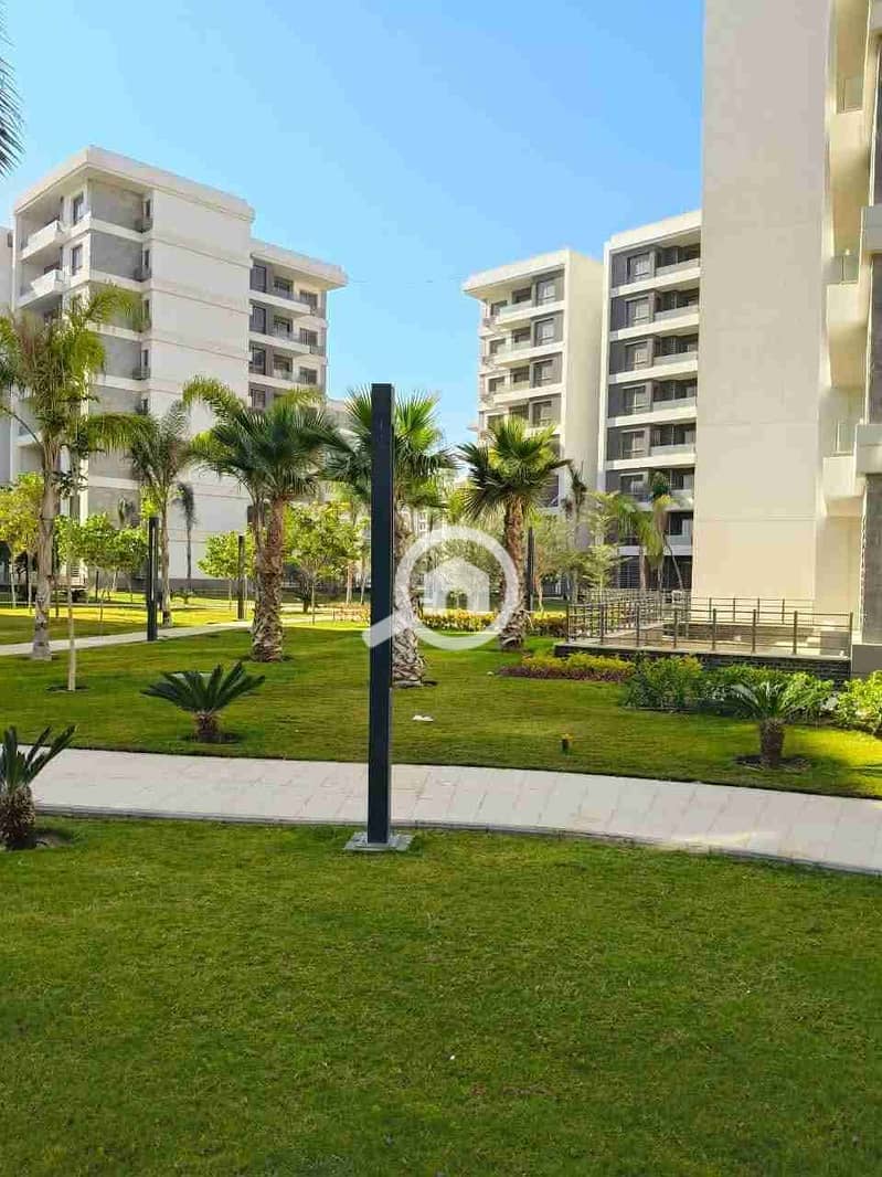 1000157733. jpg 1000157733. jpg