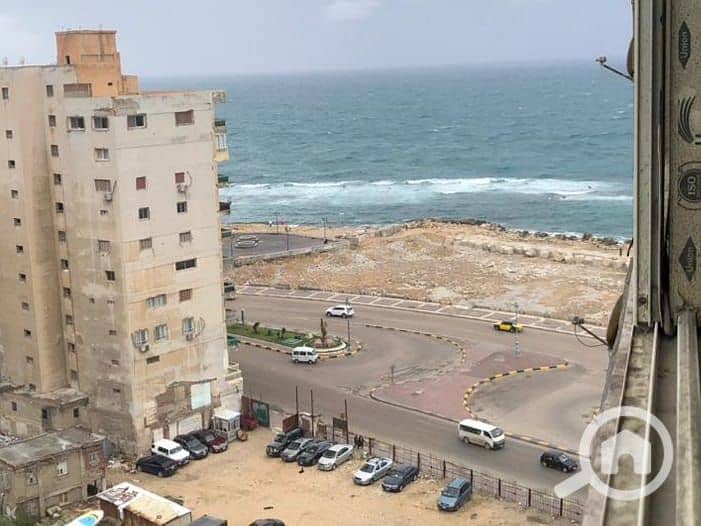 5 WhatsApp Image 2026-01-04 at 12.45. 23 PM. jpeg