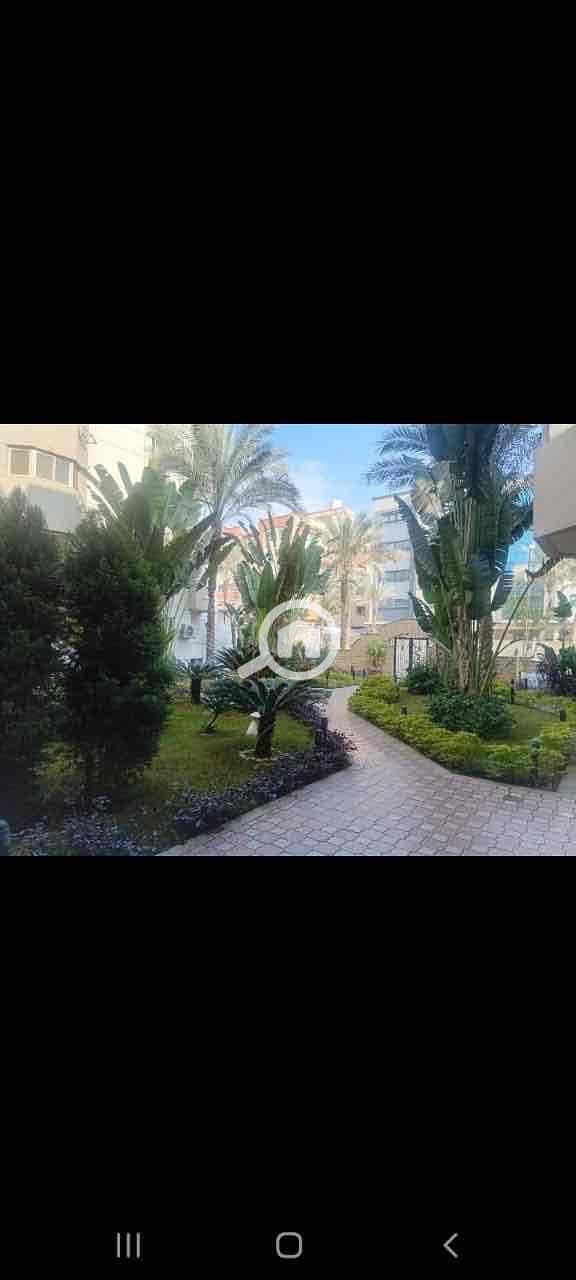 2 135e53c4-319a-49cd-9ff1-e7936503749a. jpg