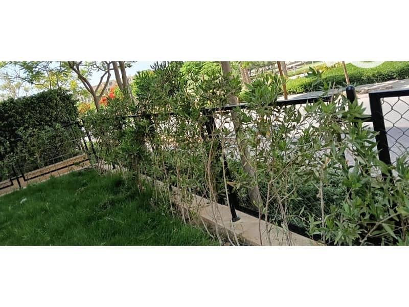 15 d409a1e9-831f-4f73-8b52-60c91697081f. jpg