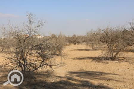 Residential Land for Sale in Sheikh Zayed, Giza - 1. jpg