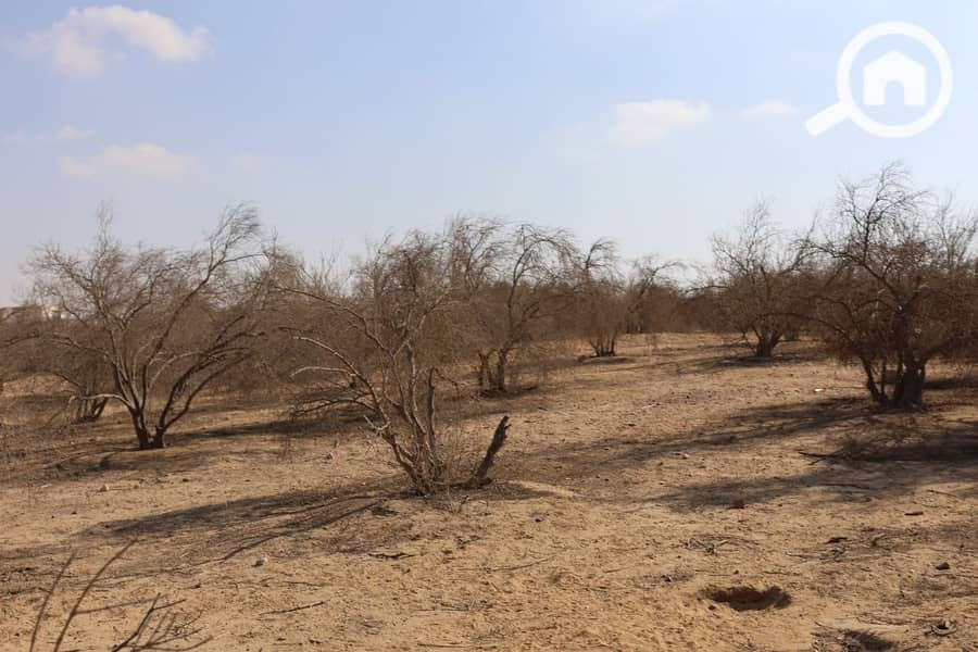 5 WhatsApp Image 2025-11-01 at 12.44. 01_acc6bede. jpg