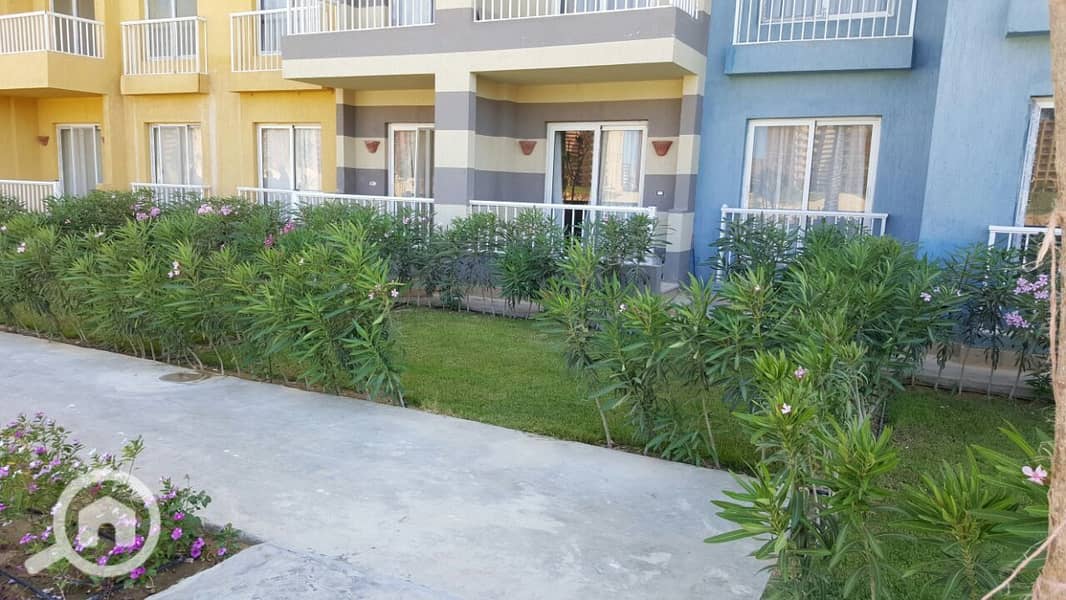 12 5ccdbda8-28a3-4693-bbc5-9b9c0aaba966. jpeg