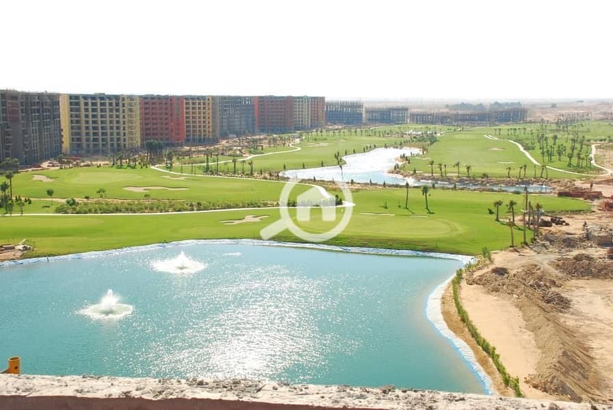 13 1fd7963e-555a-4c1e-8a63-25fedc23667a. jpeg