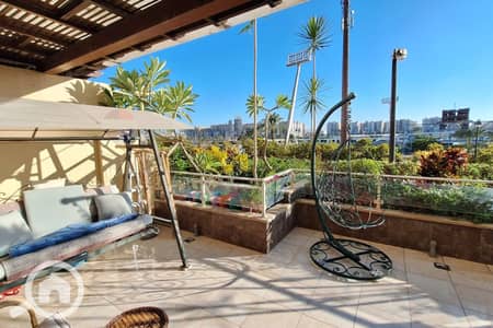 4 Bedroom Flat for Sale in Smoha, Alexandria - 1. jpg 4 Bedroom Flat for Sale in Smoha, Alexandria - 1. jpg