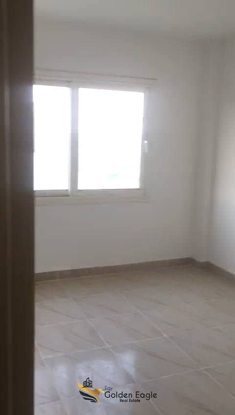 5 608520677_1550127086217818_2645350758451514630_n. jpg