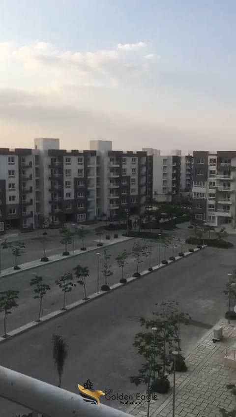 11 611409175_1550126756217851_2273207810616773494_n. jpg