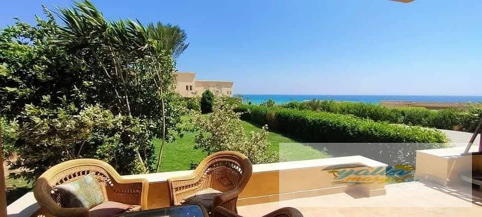 3 6953c61d74f8e_606023205_1173845014951428_2357144495630098966_n. jpg