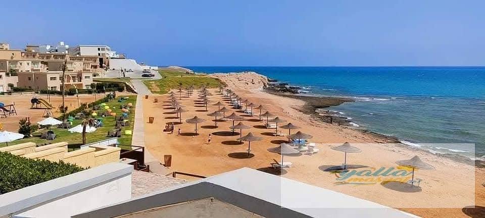 5 6953c62010e6b_606305710_1173844634951466_2724199050018387393_n. jpg