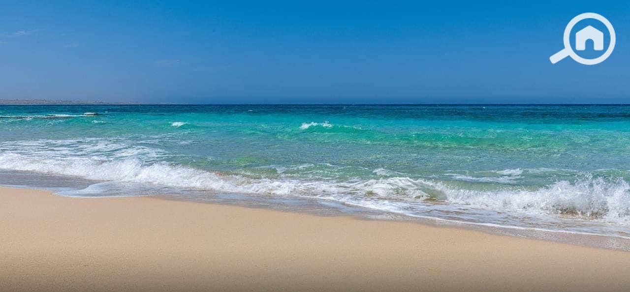 6 WhatsApp Image 2025-08-05 at 2.08. 26 PM. jpeg