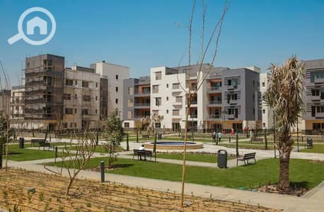 2 Bedroom Apartment for Rent in New Cairo, Cairo - WhatsApp Image 2025-10-14 at 16.00. 31_a6bb99ce. jpg