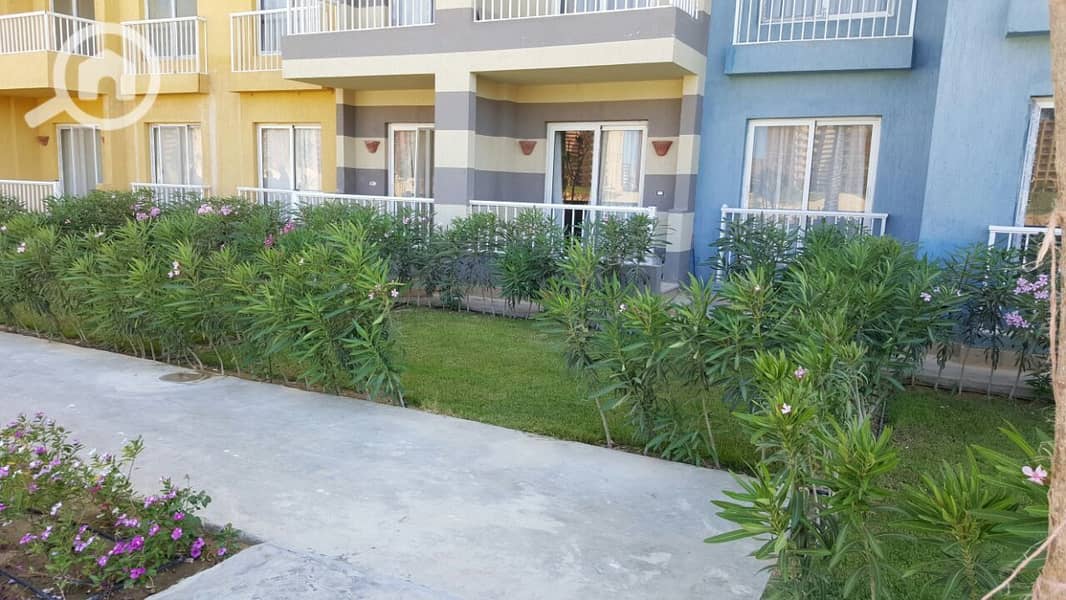 3 5ccdbda8-28a3-4693-bbc5-9b9c0aaba966. jpeg