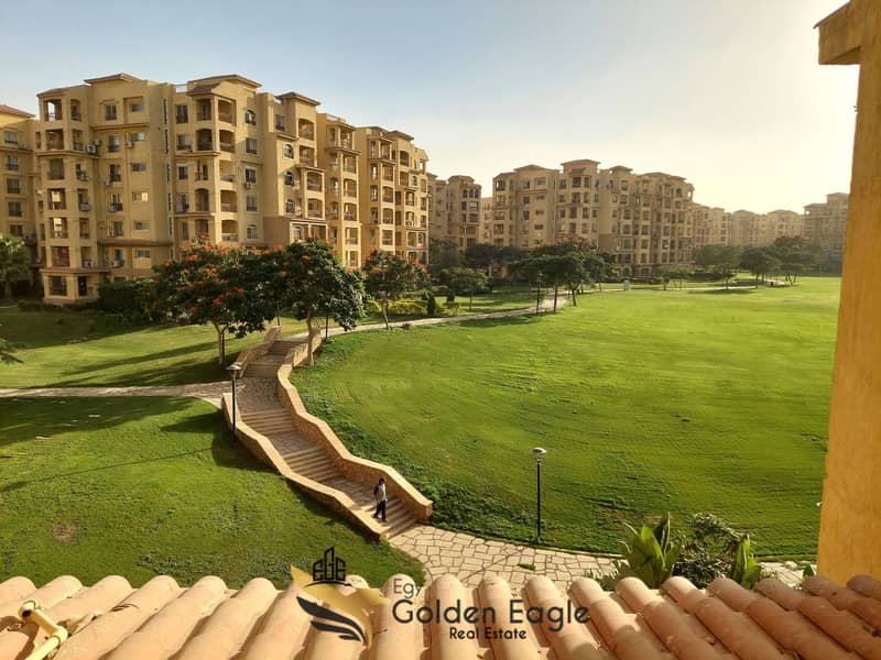 11 608540453_1549538356276691_6775870303634984397_n. jpg