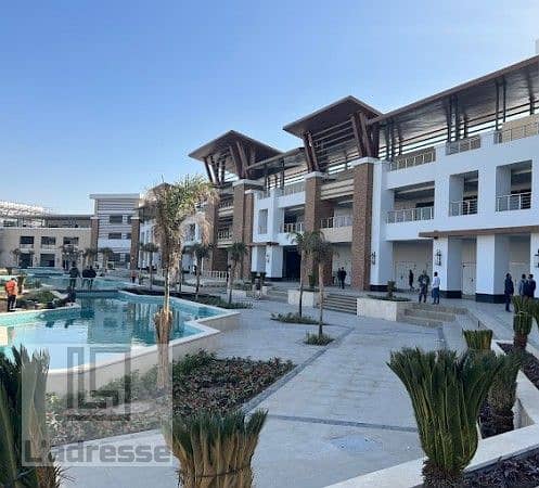 16799238372022-12-27. jpg 16799238372022-12-27. jpg