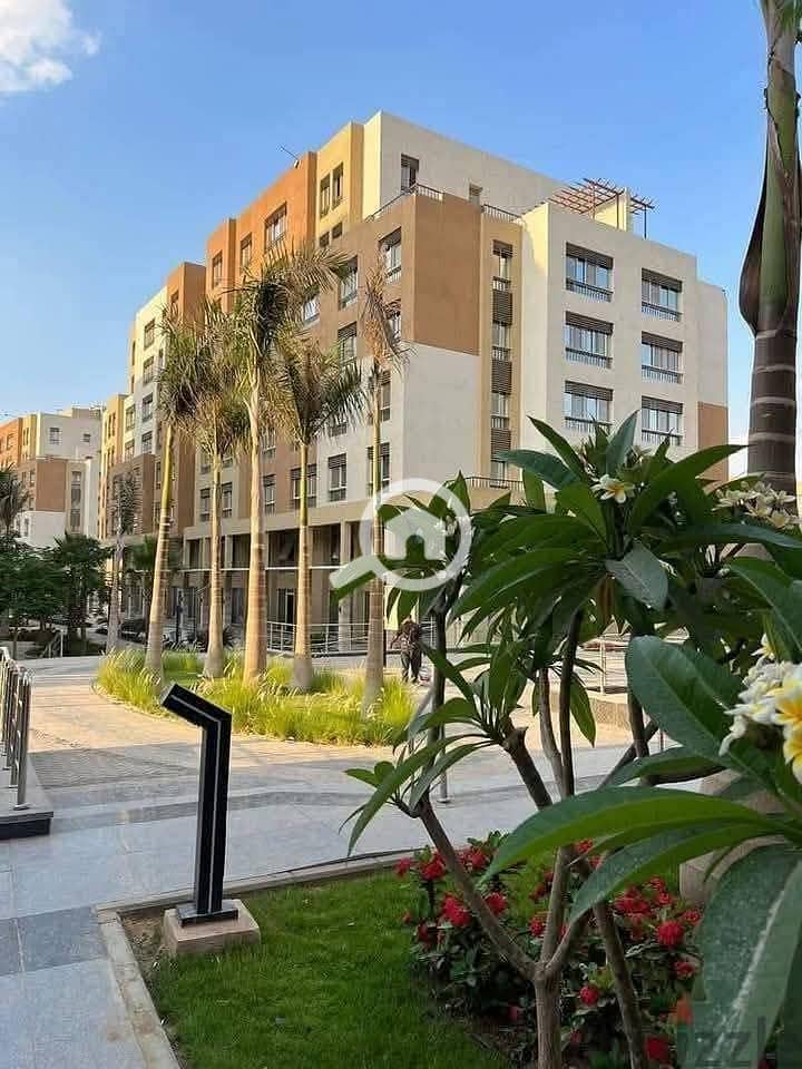 5 WhatsApp Image 2025-09-20 at 12.08. 54 AM. jpeg