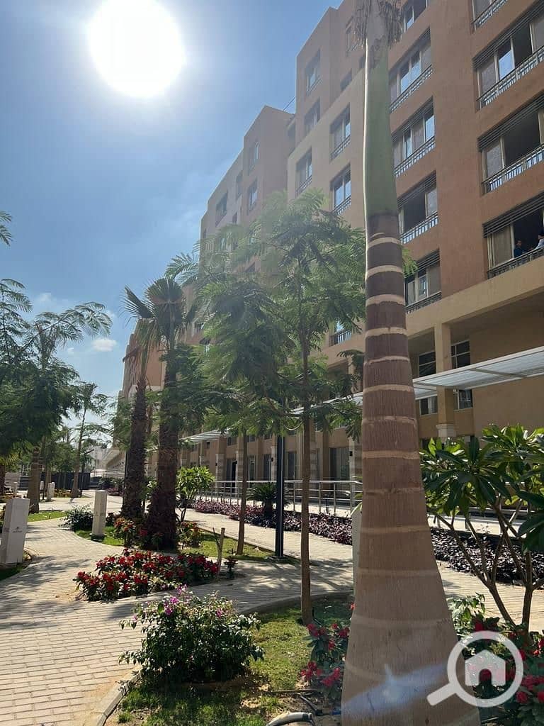 4 WhatsApp Image 2025-09-04 at 4.39. 46 PM. jpeg