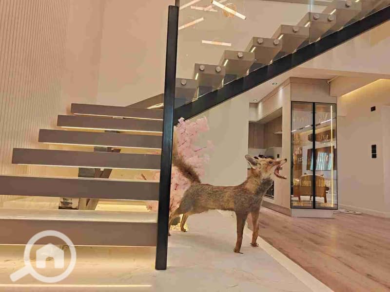 12 IMG-20251125-WA0014. jpg