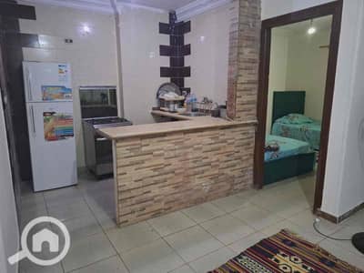 2 Bedroom Apartment for Rent in Sidi Beshr, Alexandria - 66d86156-f407-4558-a427-135582af7324. jpg 2 Bedroom Apartment for Rent in Sidi Beshr, Alexandria - 66d86156-f407-4558-a427-135582af7324. jpg